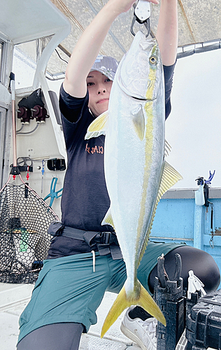 ヤズの釣果