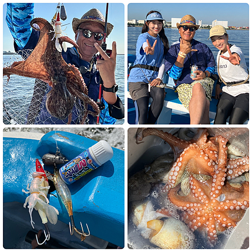 マダコの釣果