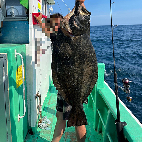 ヒラメの釣果