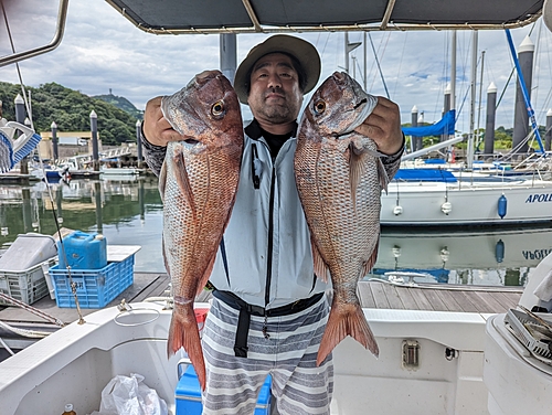 タイの釣果