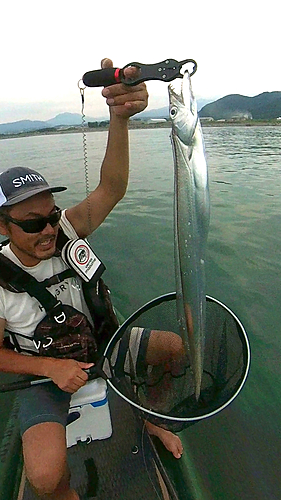 タチウオの釣果