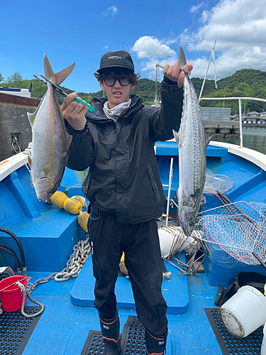 カンパチの釣果