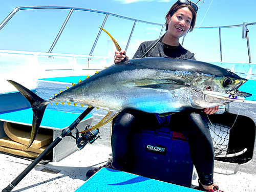 キハダマグロの釣果