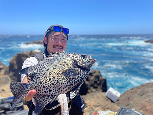 イシガキダイの釣果