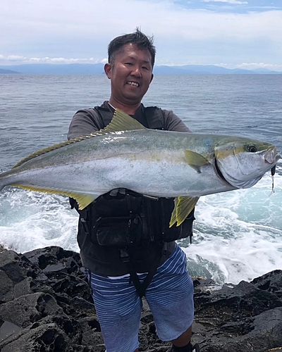 ヒラマサの釣果