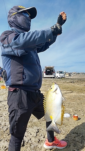 釣果