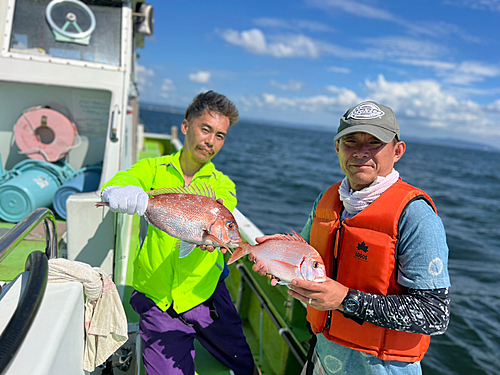 マダイの釣果