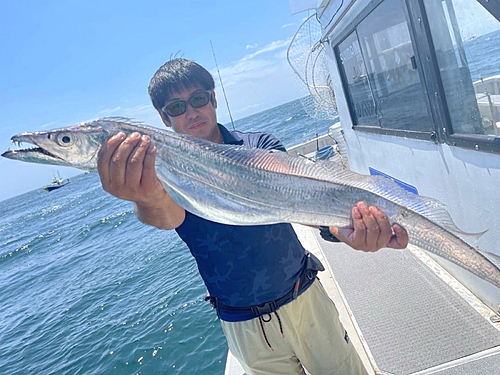 タチウオの釣果