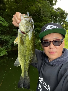 ブラックバスの釣果