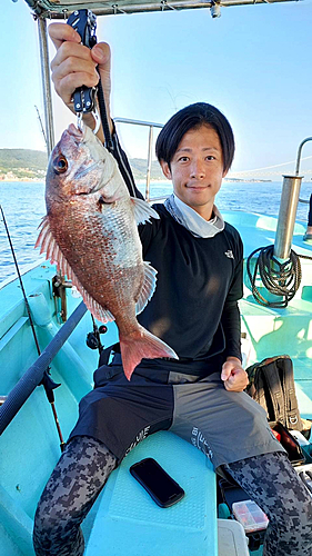 マダイの釣果