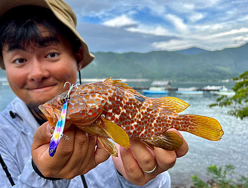 アコウの釣果