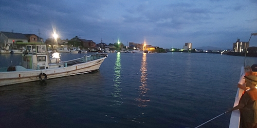 ワタリガニの釣果