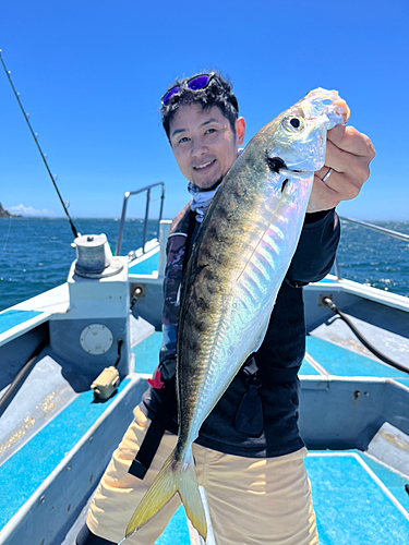 マアジの釣果