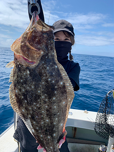 ヒラメの釣果