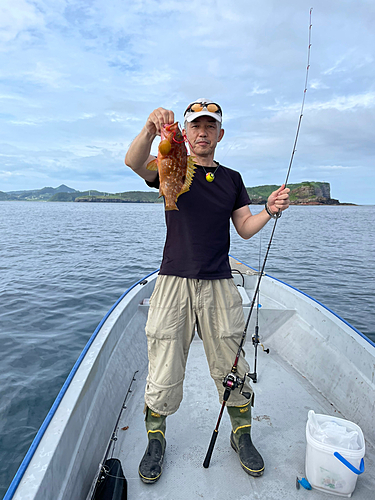 アコウの釣果