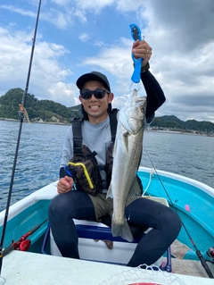 スズキの釣果