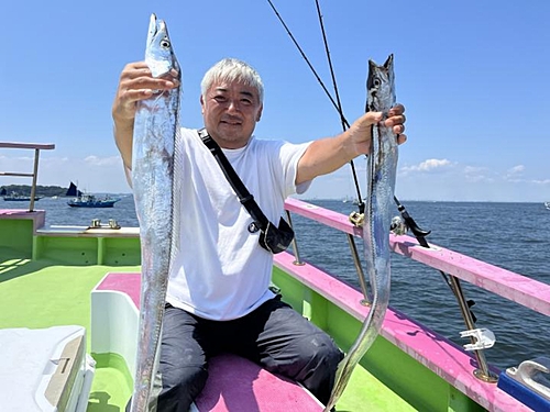 イワシの釣果