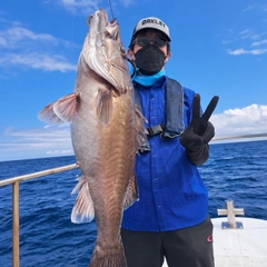 アラの釣果