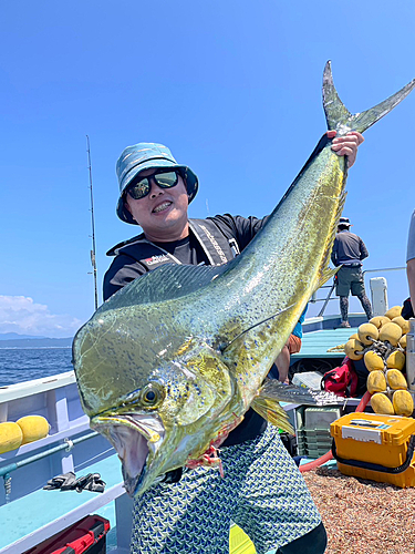 シイラの釣果