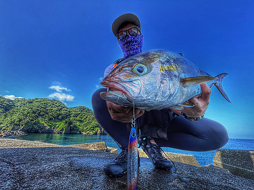 ショゴの釣果