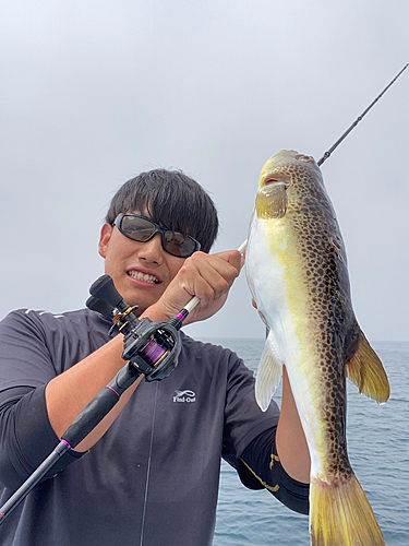 ショウサイフグの釣果