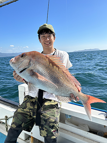 マダイの釣果