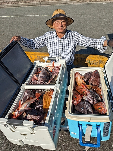 ウスメバルの釣果