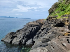 アカササノハベラの釣果