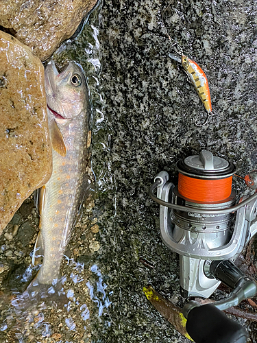 小田養魚場