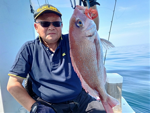 マダイの釣果