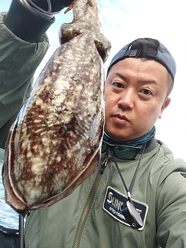 コウイカの釣果