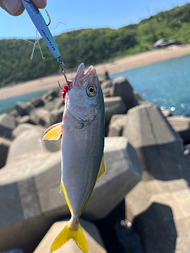 釣果