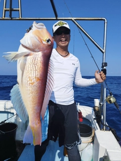 アマダイの釣果