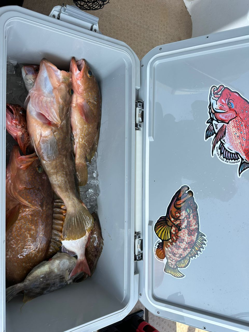 ☆HI-KUN☆さんの釣果 2枚目の画像