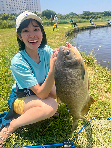 コロソマの釣果