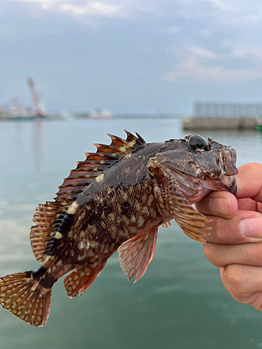 釣果