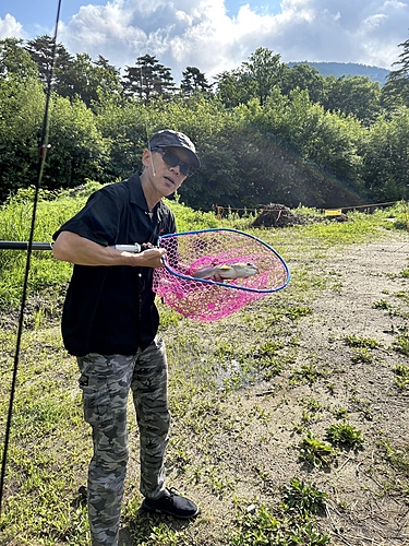 ニジマスの釣果