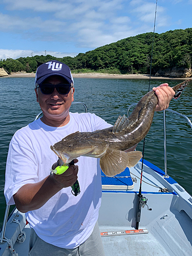 マゴチの釣果