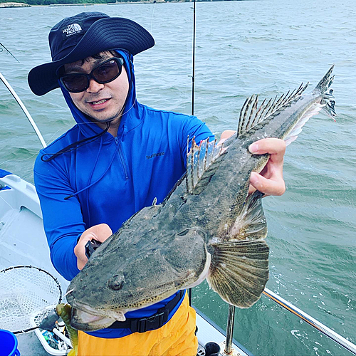 マゴチの釣果