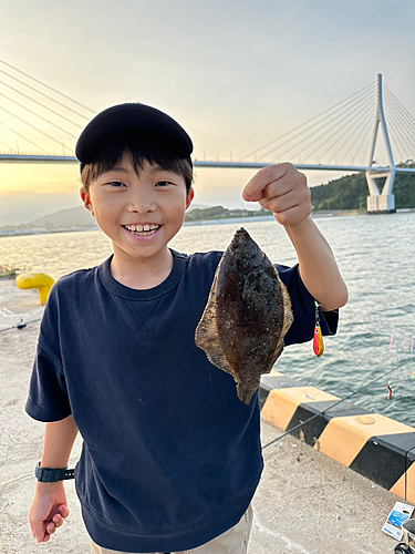 カレイの釣果