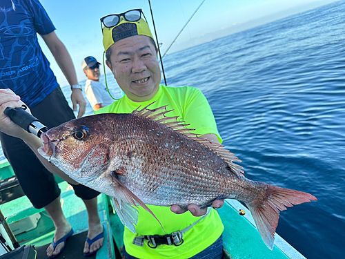 マダイの釣果