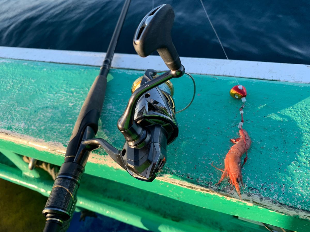 アングラー63166332中村　豊さんの釣果 3枚目の画像