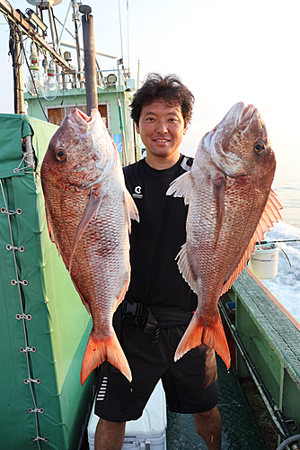 マダイの釣果