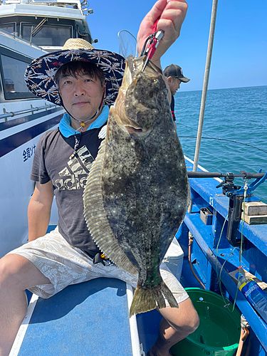 ヒラメの釣果