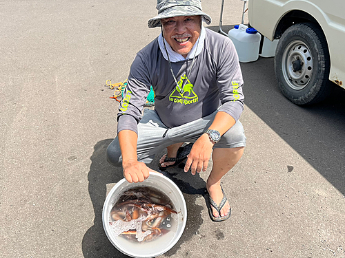 マイカの釣果