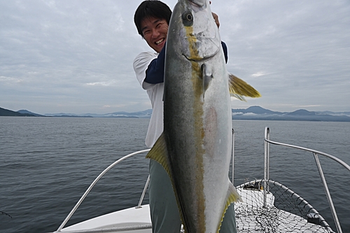 ヒラマサの釣果