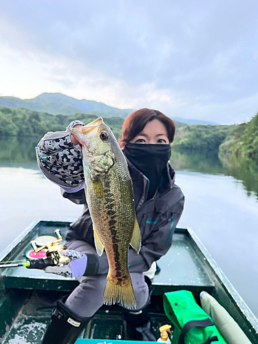 ラージマウスバスの釣果