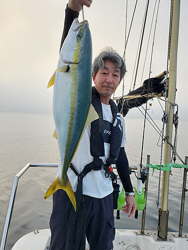 ワラサの釣果