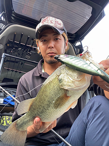 ブラックバスの釣果