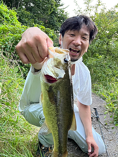 ラージマウスバスの釣果